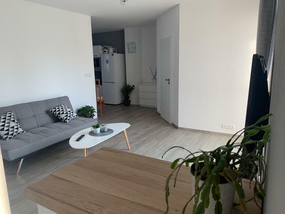 Tolarova Apartman Pardubice Exterior foto